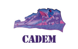 cadem